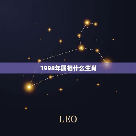 1998年生肖|1998年属什么生肖